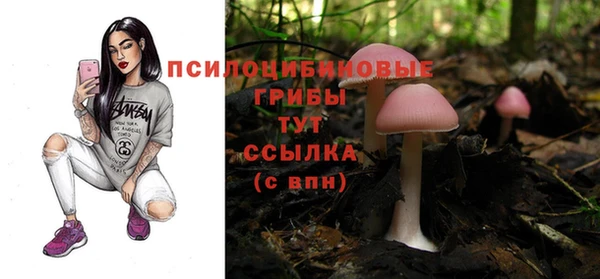 ешки Снежинск