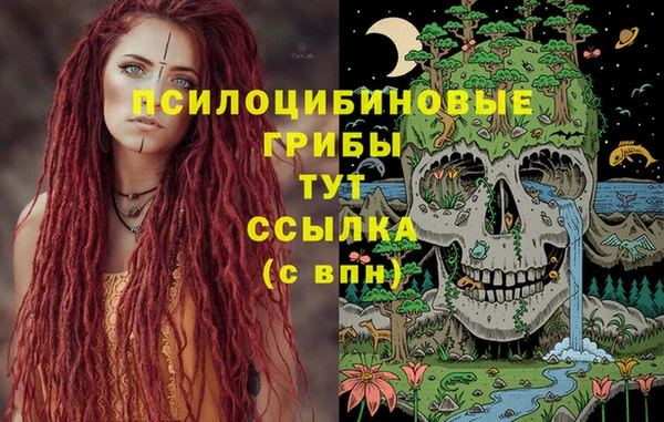 не бодяженный Белокуриха
