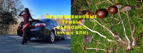a pvp Беломорск
