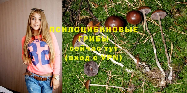 a pvp Беломорск