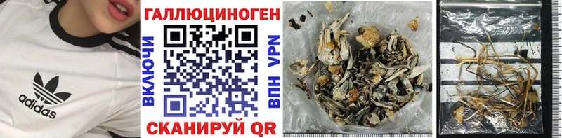 где купить наркоту  Кушва  ОМГ ОМГ ONION  Псилоцибиновые грибы Cubensis 